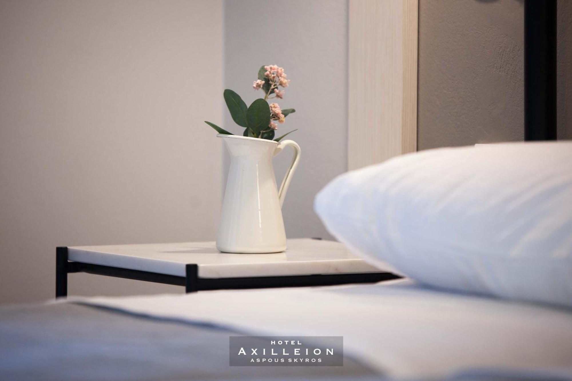 Achilleion Hotel Skyros Zewnętrze zdjęcie