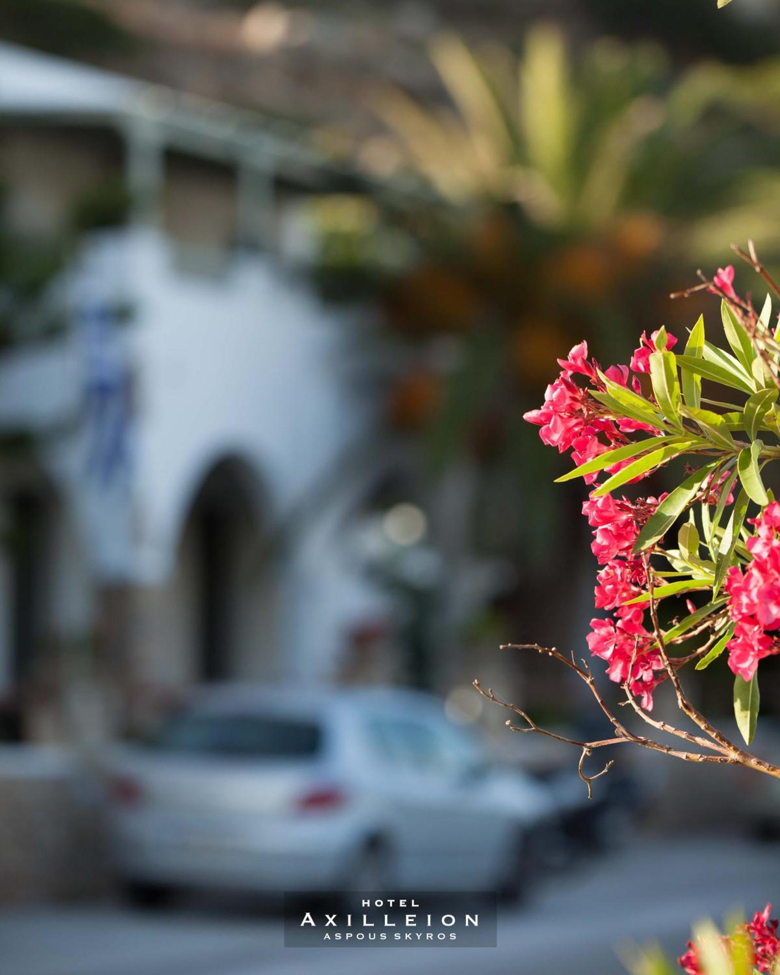 Achilleion Hotel Skyros Zewnętrze zdjęcie